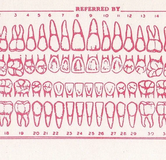 My Dentist Says He Did Work on Teeth I Still Have — His Chart Shows Them Gone