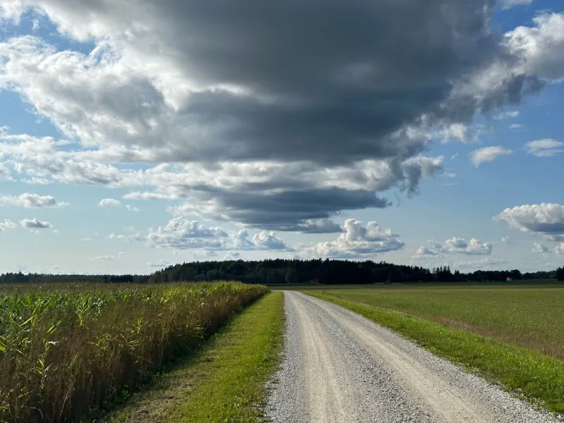 Dad Drove Thousands of Miles He Never Mentioned — I Finally Found the Road He Kept Going Back To