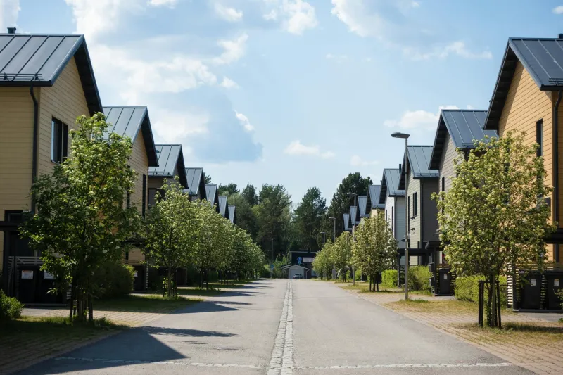 The Neighbor Who Moved In Last Spring Never Casts a Shadow—And I Have the Photos to Prove It