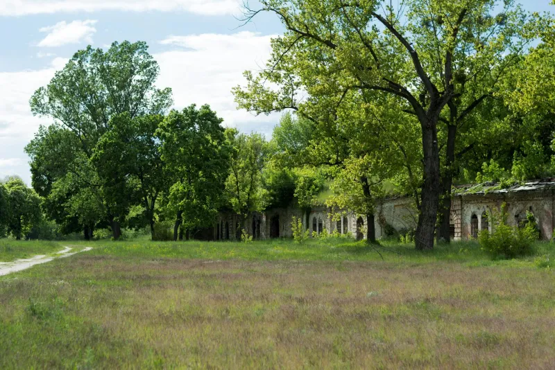 The Summer Camp That Burned Before We Were Born — But We All Remember Being There