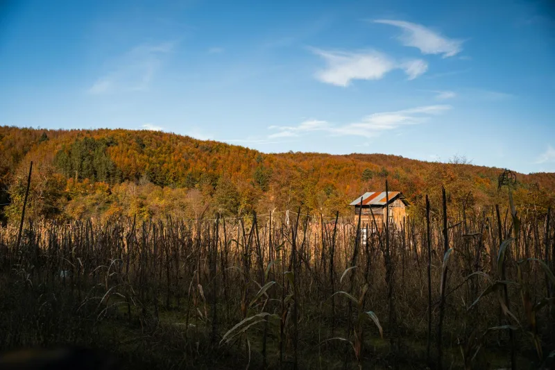 The Worker Who Came Back Every October — Until the Year My Great-Uncle Died